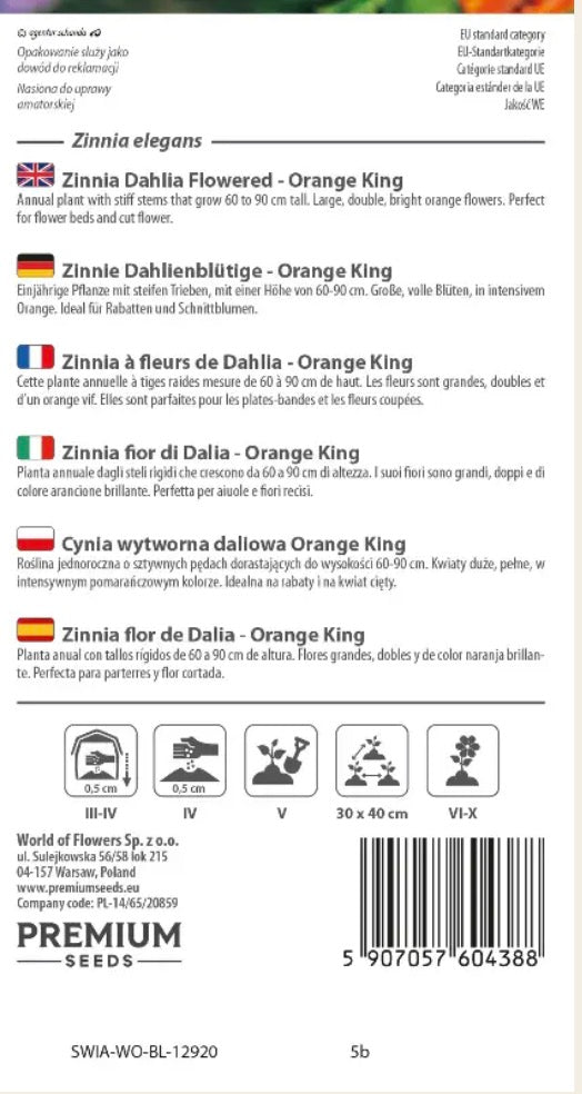 🌼 Frøkenhat ‘Orange King’ – Store, fyldte blomster i strålende orange