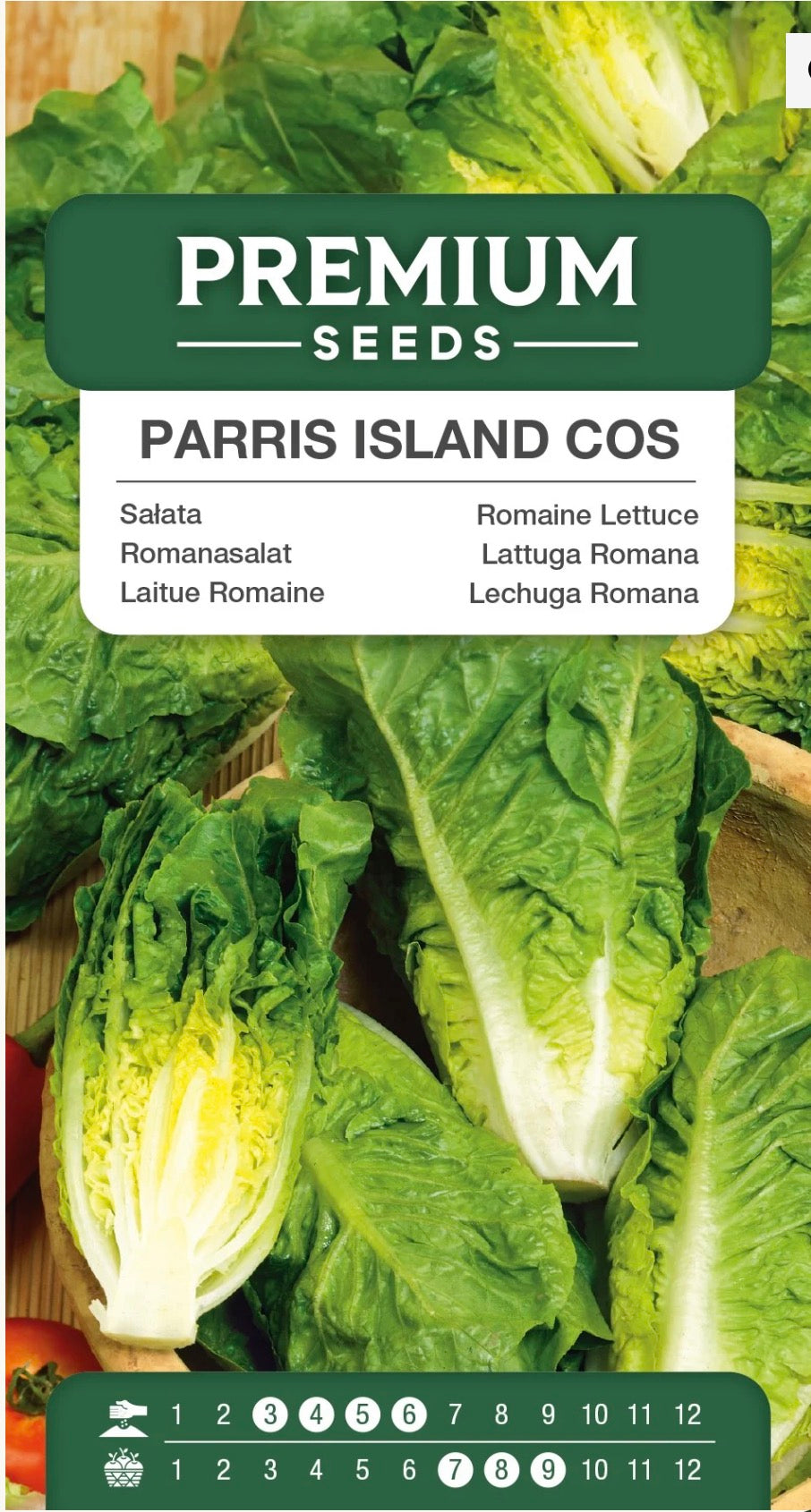 🥬 Romainesalat Parris Island Cos – Sprød og saftig salat