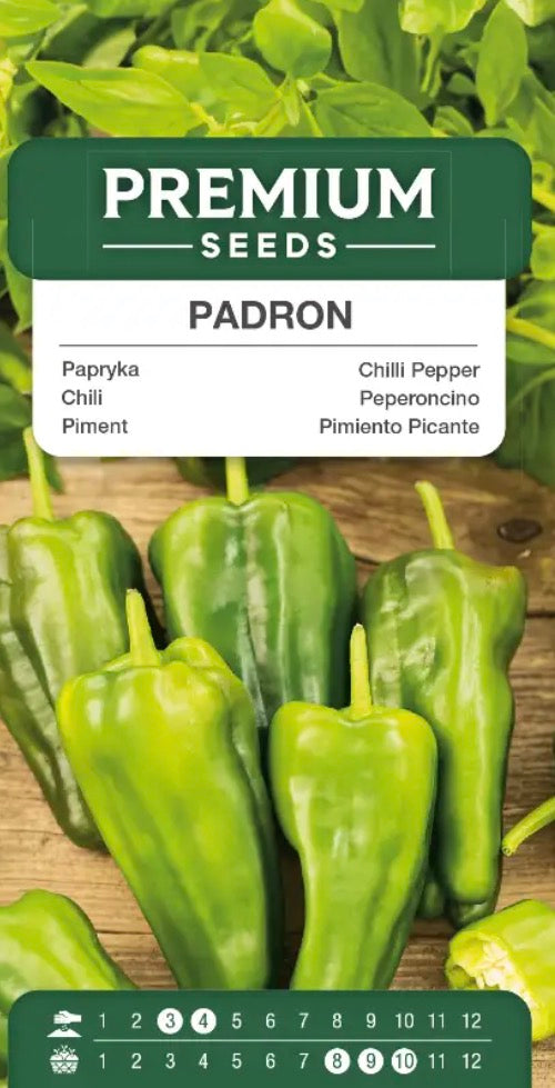 Chili ‘Padrón’ – Den populære spanske tapaschili 🌶️