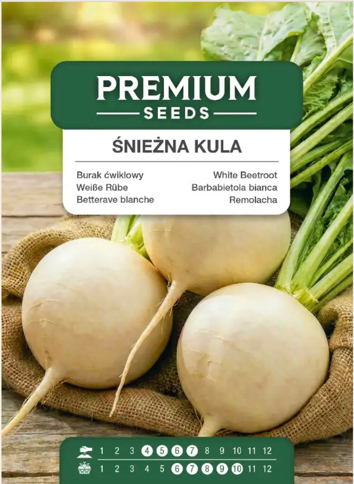 🤍 Hvid rødbede ‘Śnieżna Kula’ – Sød, mild og helt uden den klassiske jordsmag! 🌱