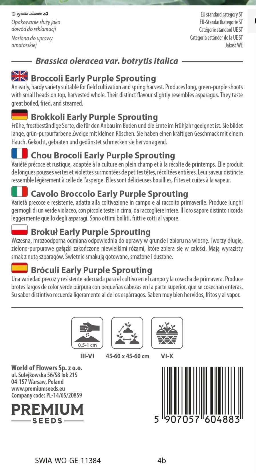 Asparges broccoli 🥦💜 Broccoli Early Purple Sprouting