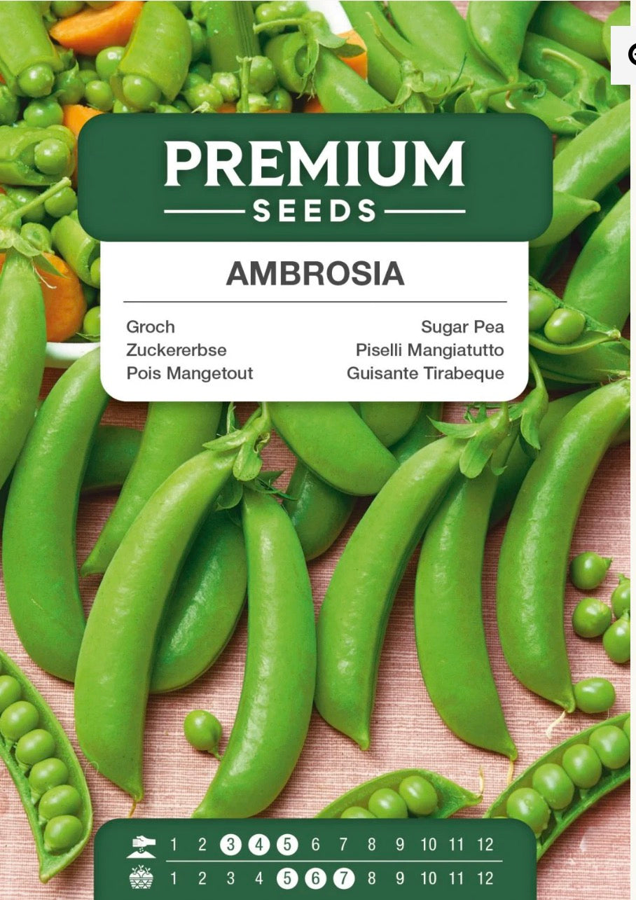 🌱 Sukkerært Ambrosia – Sprøde, søde og lækre sukkerærter 💚