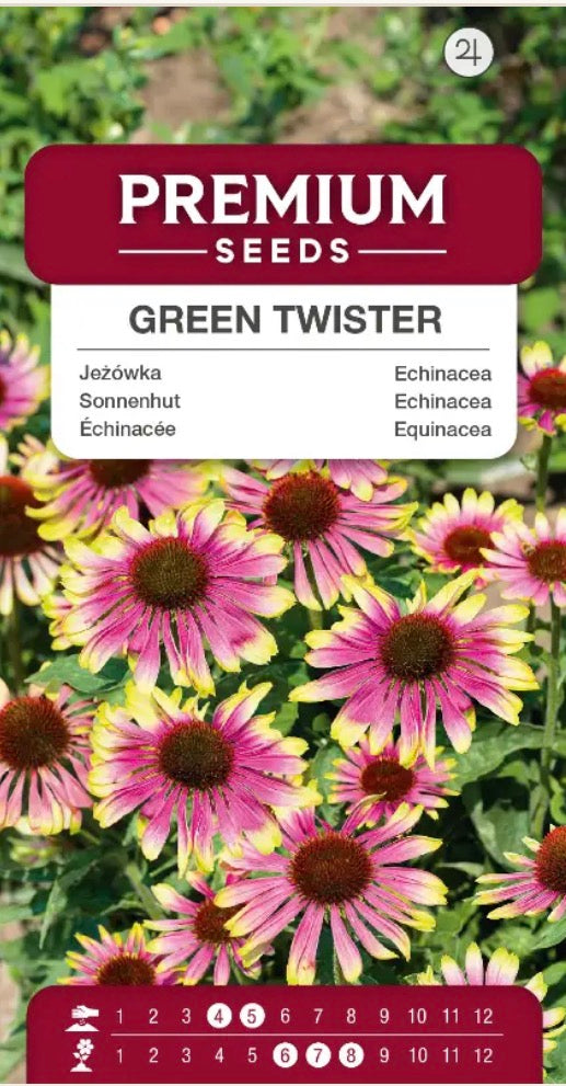 🌸 Purpursolhat ‘Green Twister’ – En helt unik flerårig blomst, som bier og sommerfugle elsker! 🐝🦋
