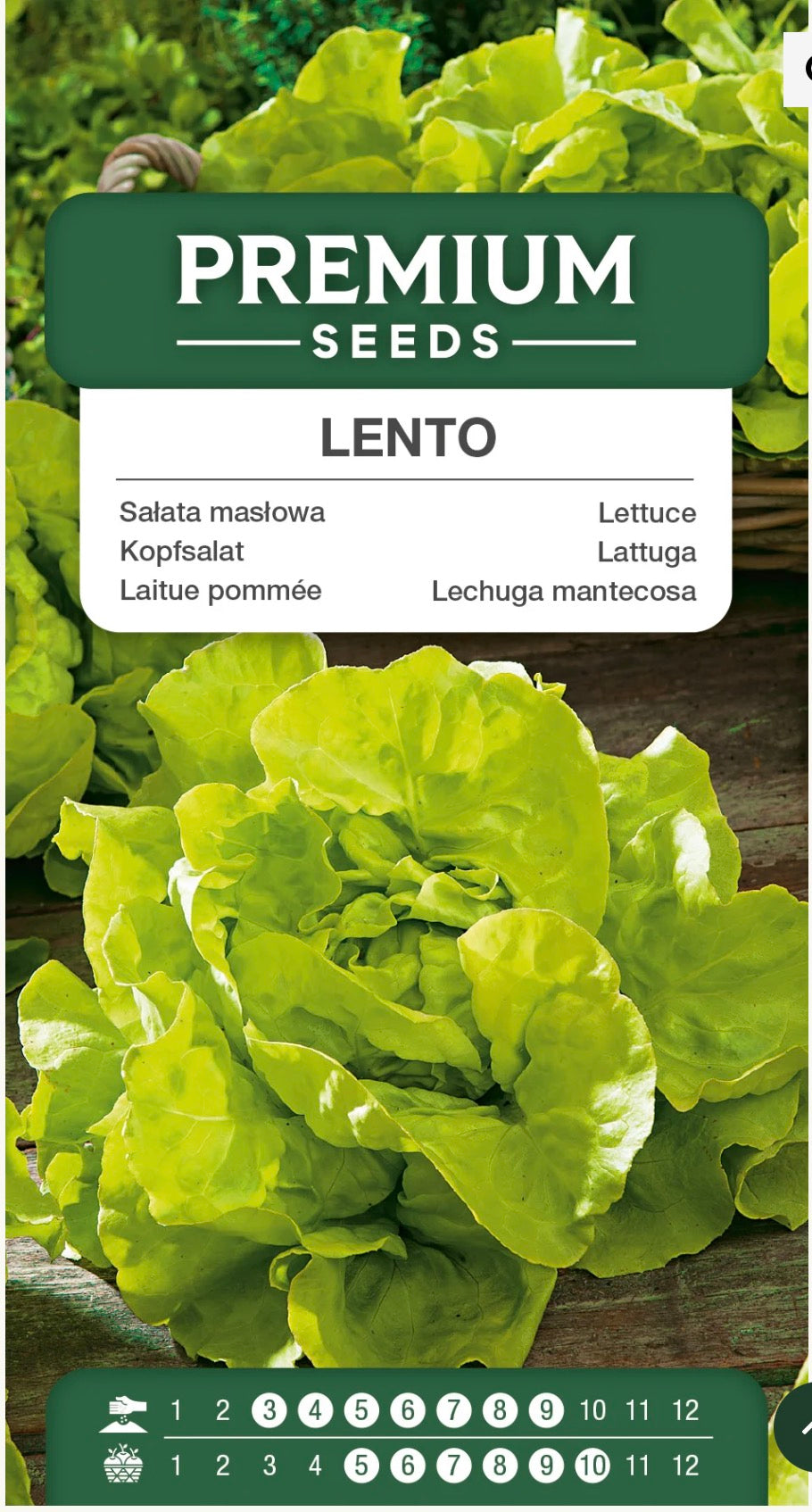 🥬 Salat Lento – Sprød, frisk og stokløbningsresistent