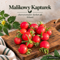 Malikowy Kapturek