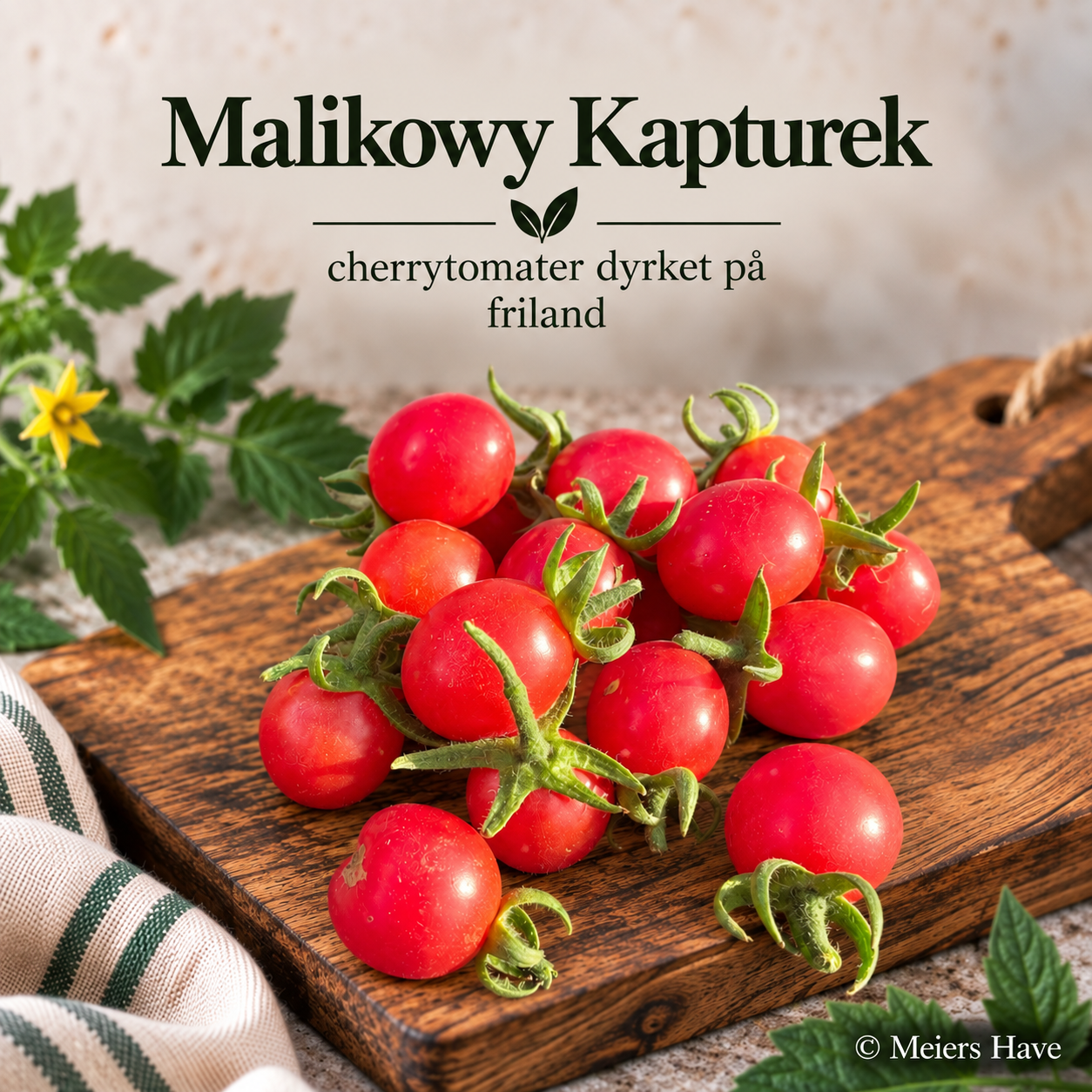 Malikowy Kapturek