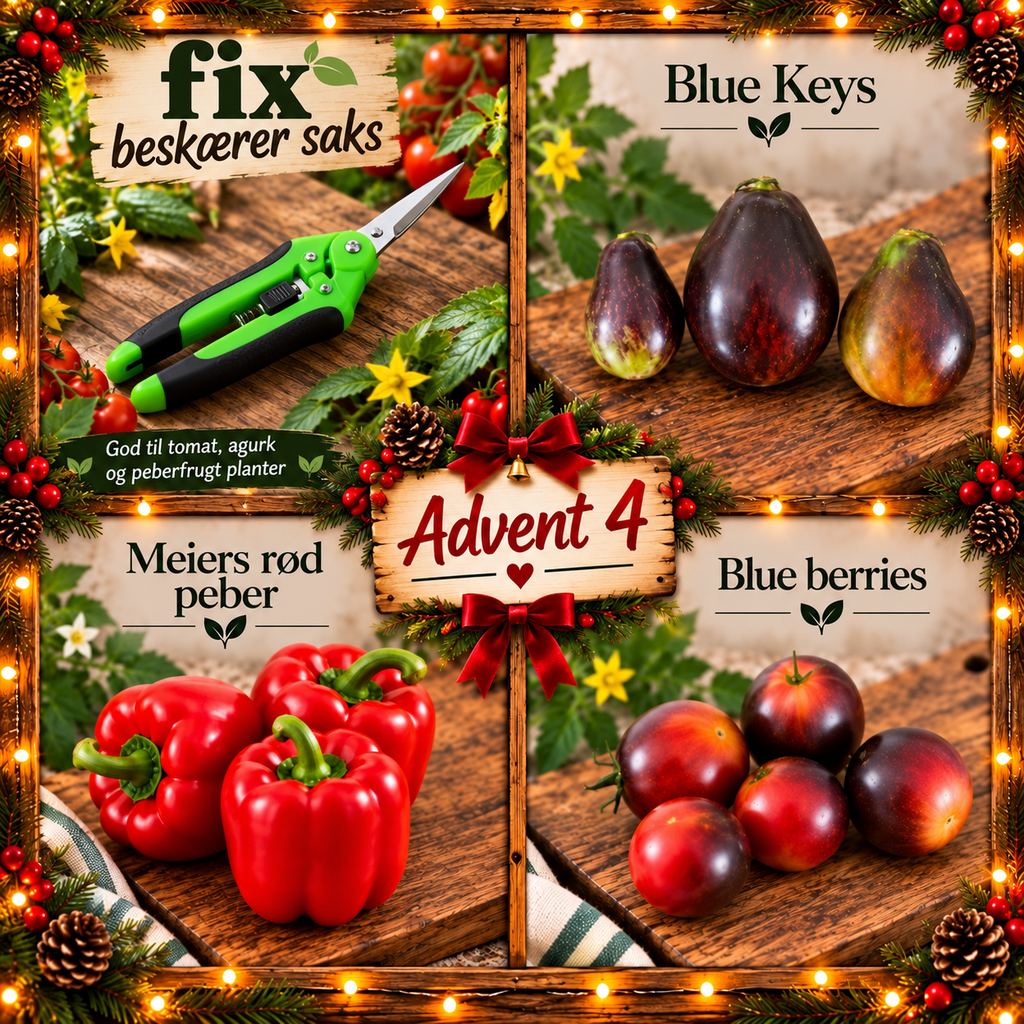🎄🎁 Meiers Adventskalender 🎁🎄